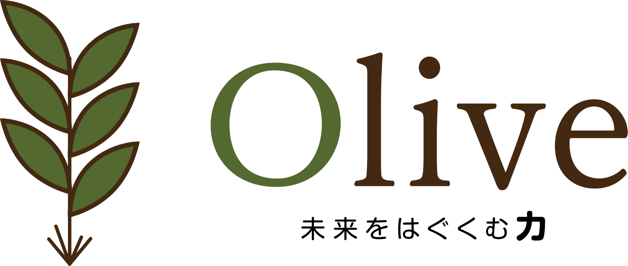 オリーブ福岡城南/博多